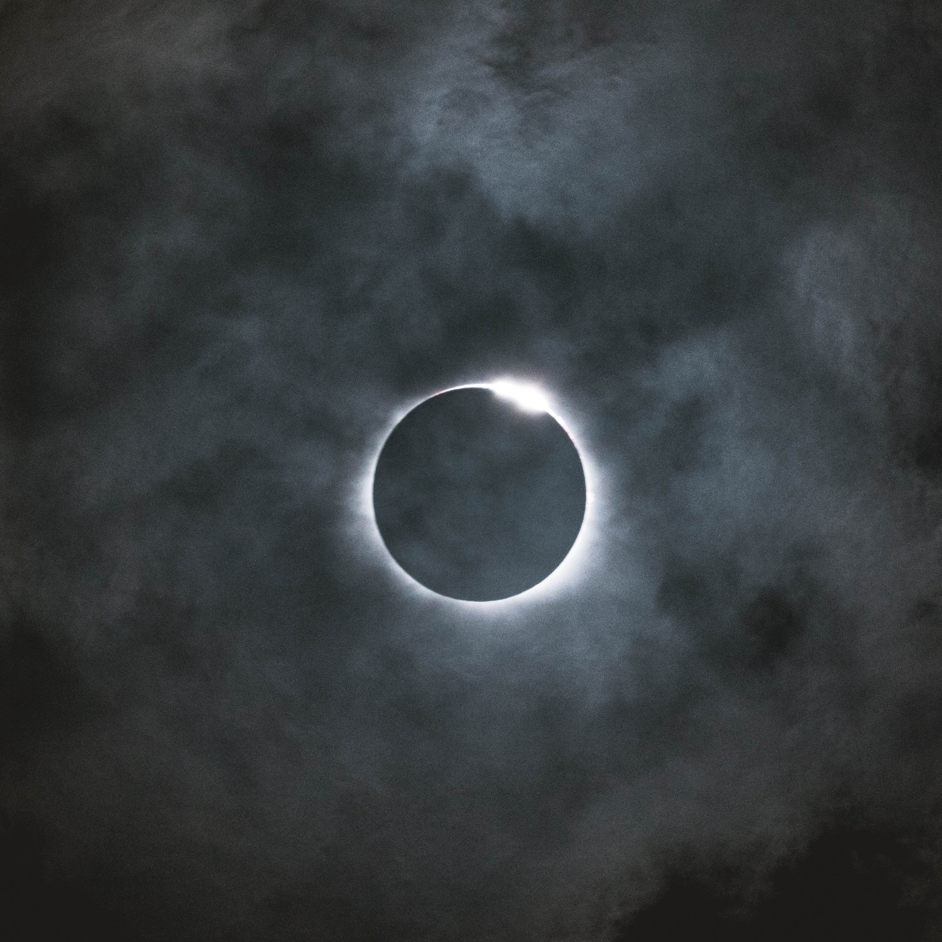 Embracing the New Moon: Planting Seeds of Intentions for the Year Ahead